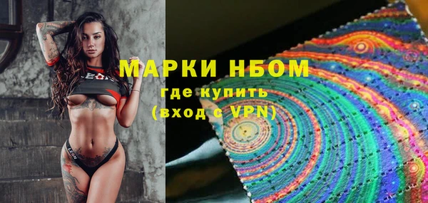 a pvp Аркадак