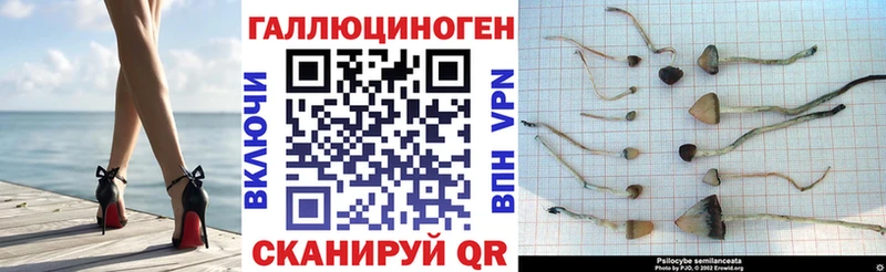 Псилоцибиновые грибы GOLDEN TEACHER  Сенгилей 